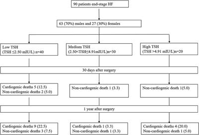 Association of Thyroid-Stimulating Hormone (TSH) Levels With the Prognosis of Patients Undergoing Heart Transplantation: A Retrospective Study